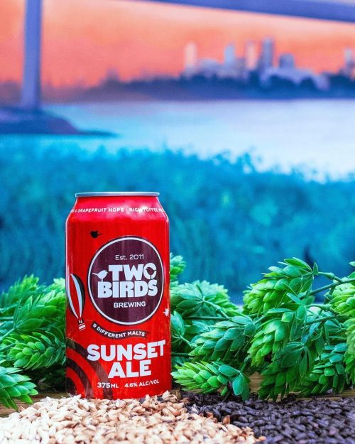 Two Birds Sunset Ale 375ml Can