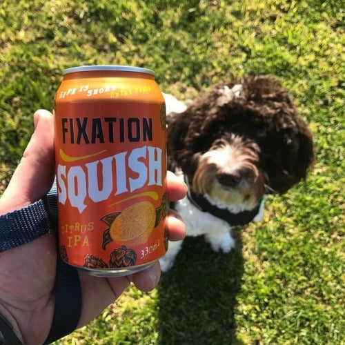 Fixation Squish Citrus IPA