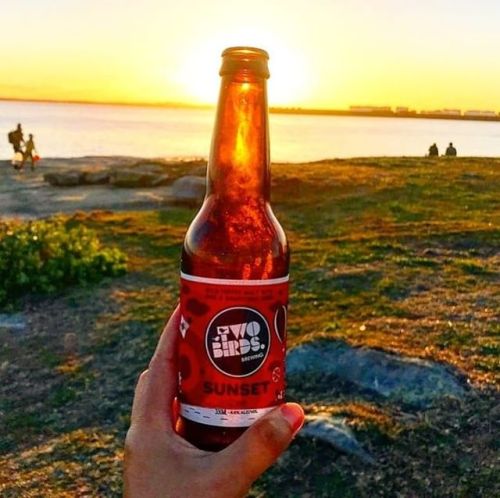 Two Birds Sunset Ale⠀