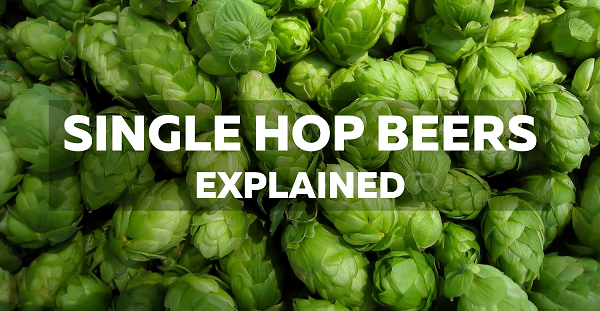 Single Hop Beers Explained