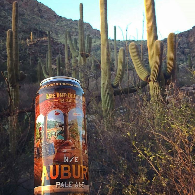 Knee Deep Northeast Auburn Pale Ale