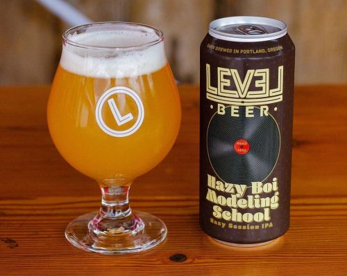 Level Hazy Boi Modeling School Hazy IPA 473ml Can