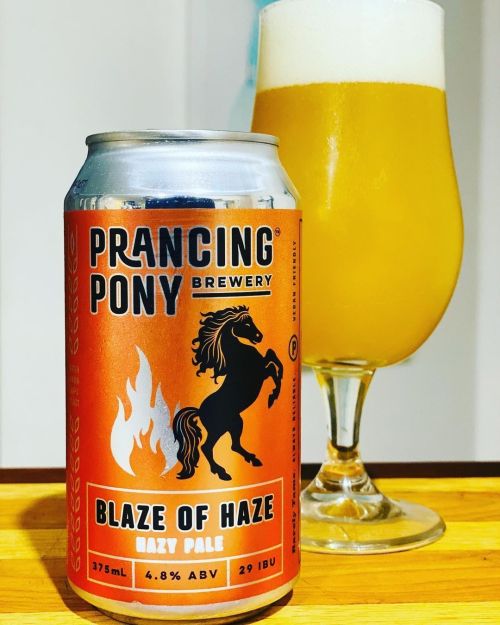 Prancing Pony Blaze of Haze Hazy Pale Ale 375ml Can