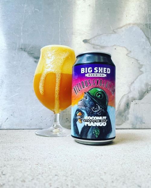 Big Shed Vicious Evolution Coconut Mango Smoothie Sour 375ml Can