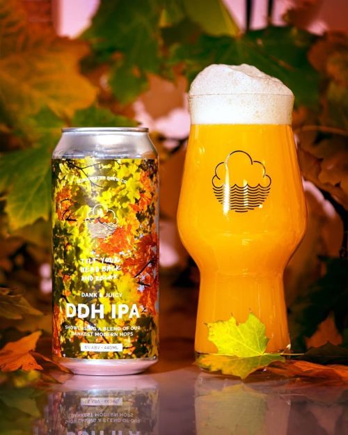 Cloudwater Tilt Your Head Back & Relax DDH IPA