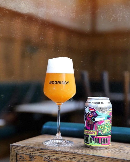Bodriggy Indoor Plant Sale Hazy IPA