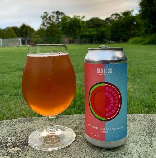 Aether Oak & Organisms Intertwined Pinot Grigio Sour Ale 375ml Can