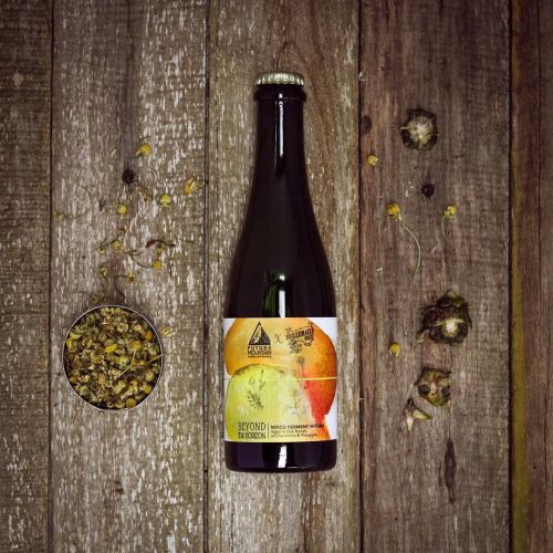 Future Mountain Beyond Horizon Mixed Ferment Witbier