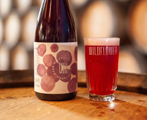 Wildflower St Phoebe Plum Wild Ale 750ml Bottle