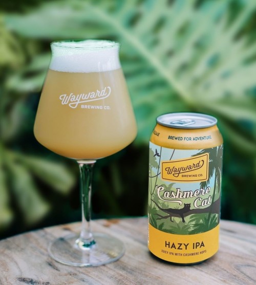 Wayward Cashmere Cat Hazy IPA