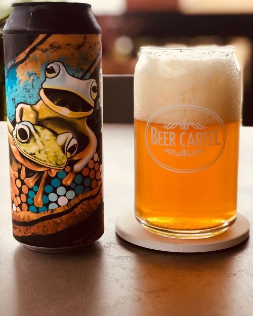 Pirate Life Nectaron & Idaho Gem IIPA 500ml Can