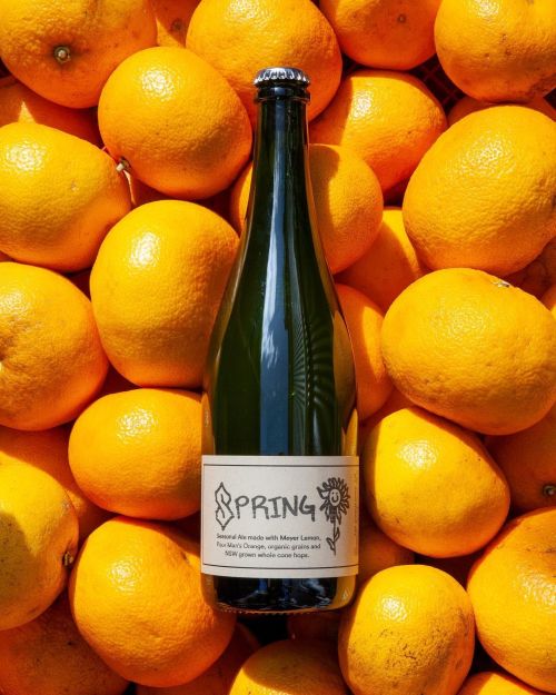 Wildflower Spring 2022 Fruited Australian Wild Ale 750ml Bottle