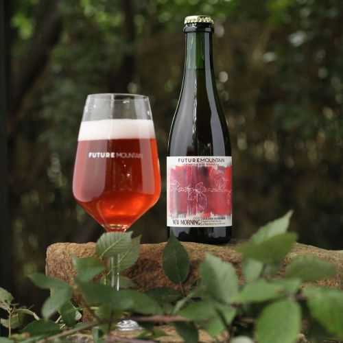 Future Mountain New Morning Sour Ale