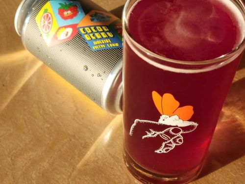 Prairie Cocoa Berry Imperial Pastry Sour 355ml Can