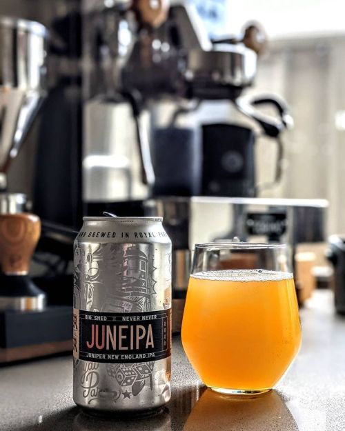 Big Shed JuNEIPA