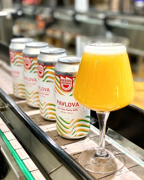 Quiet Deeds Pavlova Sour Hazy Pastry DIPA
