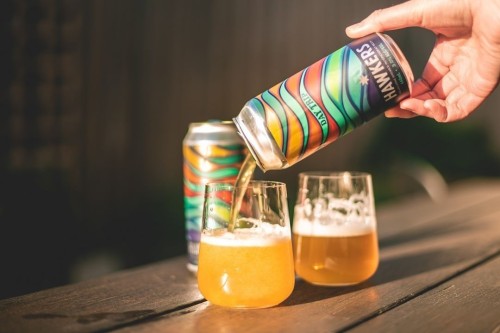 Hawkers Day Trip DIPA