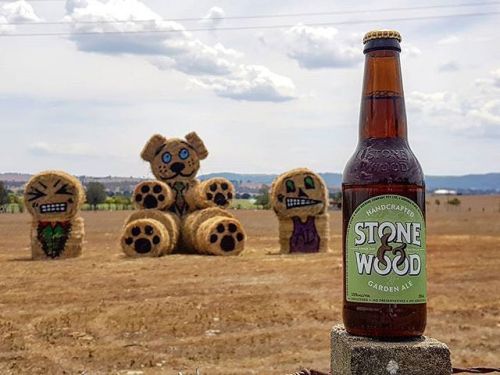 It’s day 20 of our Beer Advent Calendar! Today it’s Stone & Wood Garden Ale.