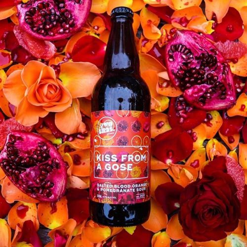 Two Birds Kiss From A Gose