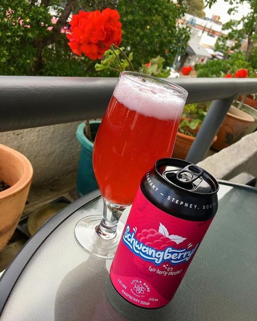 Little Bang Schwangberry! Raspberry Sour⠀