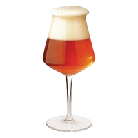Birra Del Borgo Teku Goblet