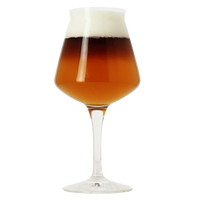 Birra Del Borgo Teku Goblet