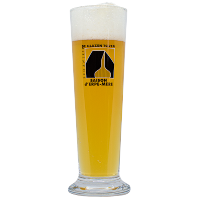 De Glazen Toren Pilsner 250ml Glass