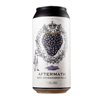 Dollar Bill Storm Series Aftermath Fruited Wild Ale 440ml Can