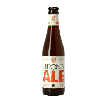 Dupont Hirond Ale #3.0 330ml Bottle