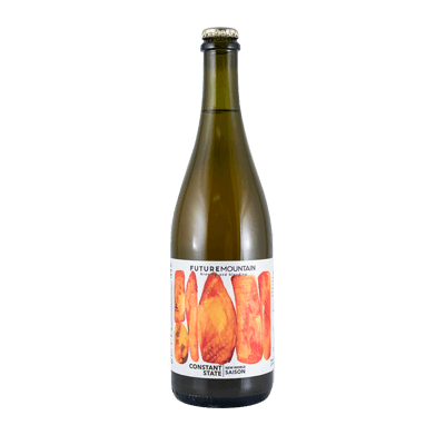 Future Mountain Constant State Saison 750ml Bottle