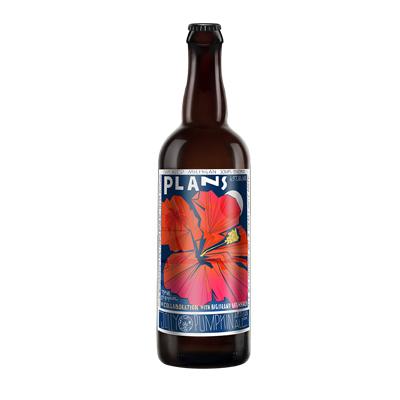 Jolly Pumpkin Plans Sour Ale