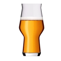 Rastal Craft Master One Beer Glass