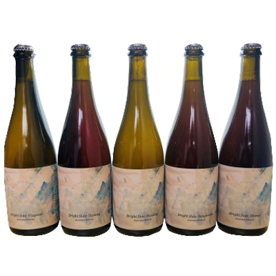 Wildflower Bright Side Mixed 5 Pack